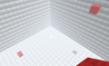 The marked area.